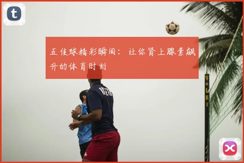 五佳球精彩瞬间：让你肾上腺素飙升的体育时刻