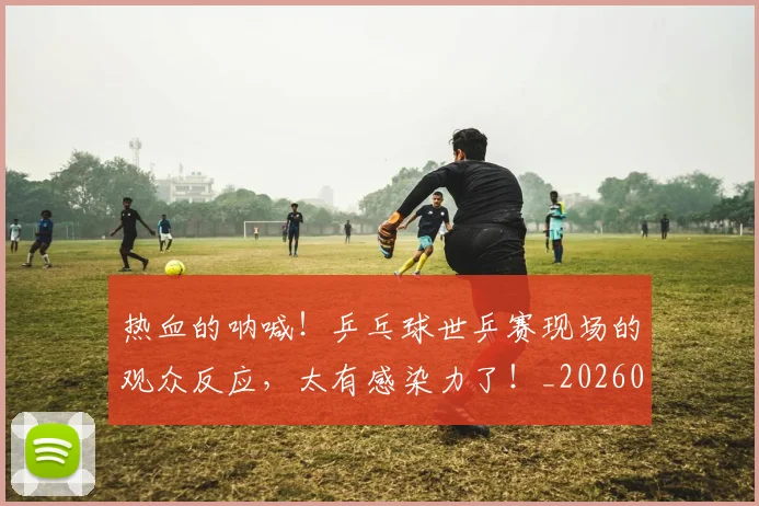 热血的呐喊!乒乓球世乒赛现场的观众反应,太有感染力了!_20260606150014